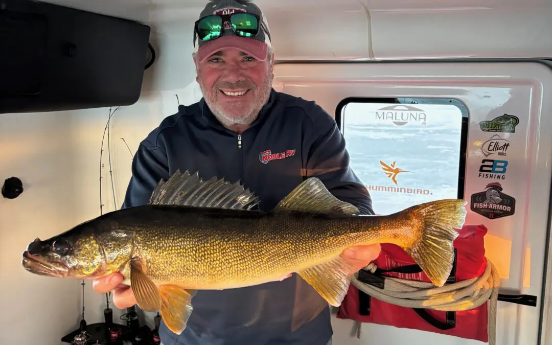 Fish Report 2/6/26